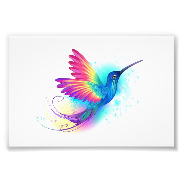 Exotic Rainbow Hummingbird Fototryck (Framsidan)