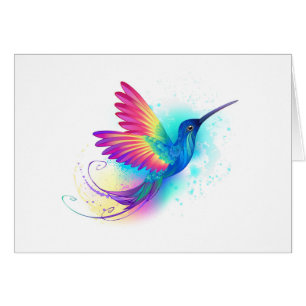 Exotic Rainbow Hummingbird OBS Kort