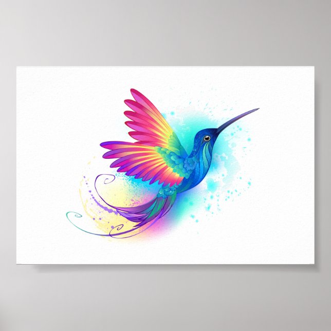 Exotic Rainbow Hummingbird Poster (Framsidan)