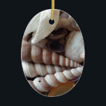 Exotic Seashells Collection, Summer Beach Julgransprydnad Keramik<br><div class="desc">Exotic Seashells Collection,  Summer Beach</div>