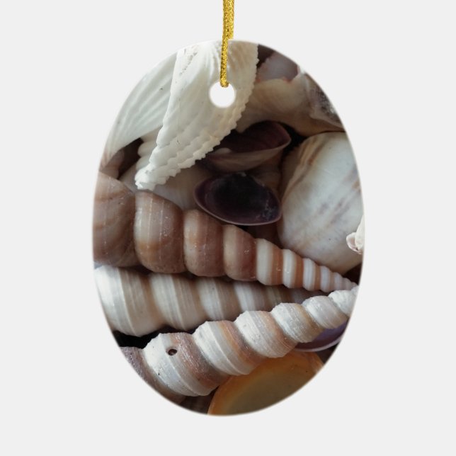Exotic Seashells Collection, Summer Beach Julgransprydnad Keramik (Framsidan)