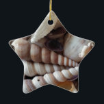 Exotic Seashells Collection, Summer Beach Julgransprydnad Keramik<br><div class="desc">Exotic Seashells Collection,  Summer Beach</div>