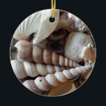 Exotic Seashells Collection, Summer Beach Julgransprydnad Keramik<br><div class="desc">Exotic Seashells Collection,  Summer Beach</div>