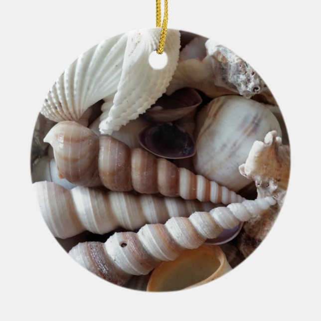 Exotic Seashells Collection, Summer Beach Julgransprydnad Keramik (Framsidan)