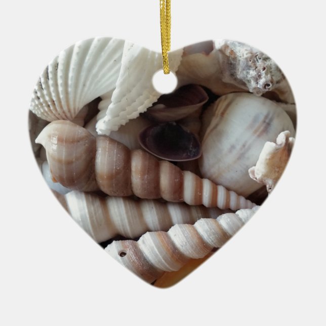Exotic Seashells Collection, Summer Beach Julgransprydnad Keramik (Framsidan)
