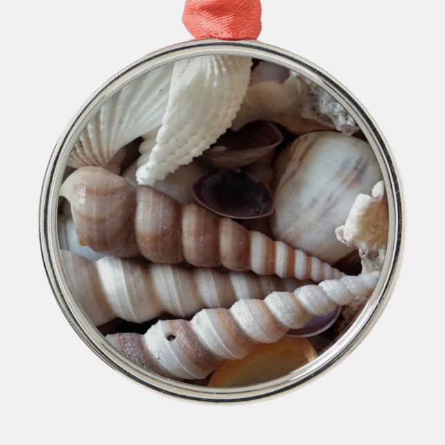 Exotic Seashells Collection, Summer Beach Julgransprydnad Metall (Framsidan)