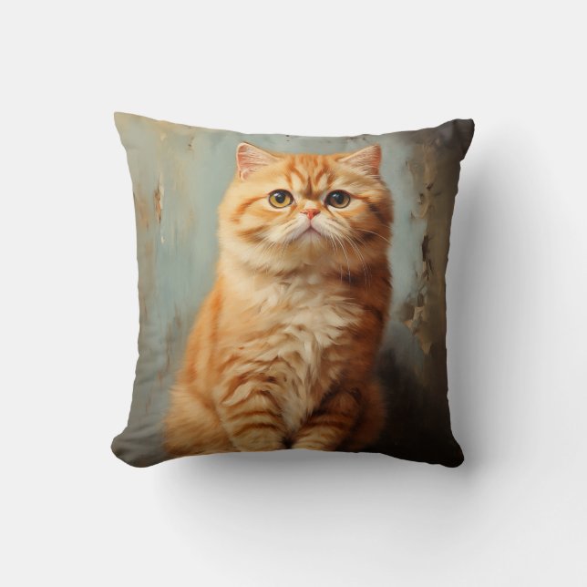 Exotic Shorthair cat Kudde (Framsida)