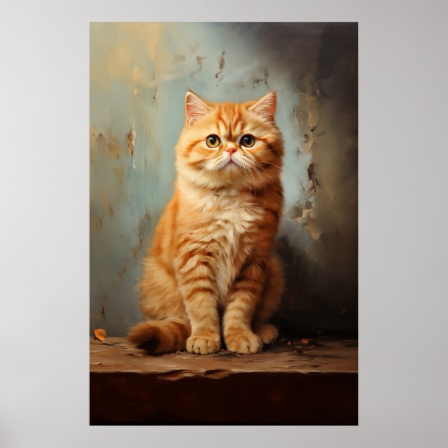 Exotic Shorthair cat Poster (Framsidan)
