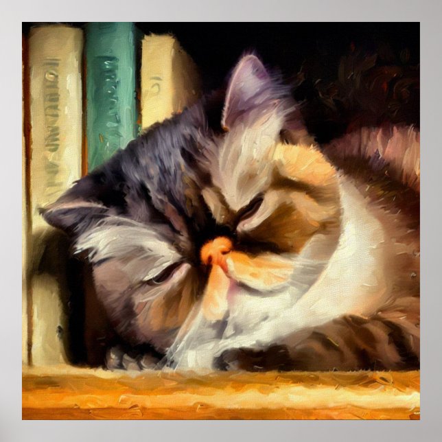 Exotic Shorthair Cat Poster (Framsidan)