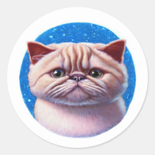 Exotic Shorthair Cat Runt Klistermärke