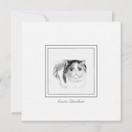 Exotic Shorthair Cat Sketch in Chalk & Charcol Anteckningskort