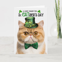 Exotic Shorthair Cat St CATricks Day Lucky Charm Helgkort