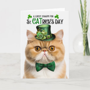 Exotic Shorthair Cat St CATricks Day Lucky Charm Helgkort