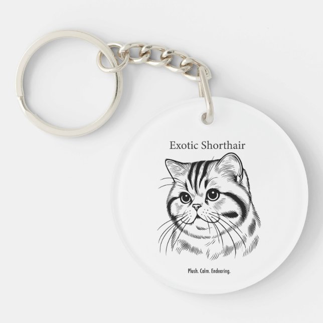 Exotic Shorthair Portrait (Framsidan)