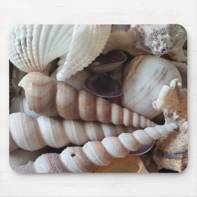 Exotic Snäckors Collection, Summer Beach Life Musmatta (Framsidan)