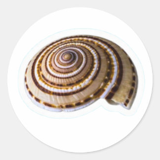 Exotic Tropical Sea Shells - Coastal Nature Collec Runt Klistermärke