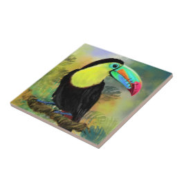 Exotic Tropical Toco Toucan Bird - Painting Miged Kakelplatta