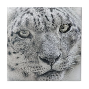 Exotic White Snö Leopard Kakelplatta