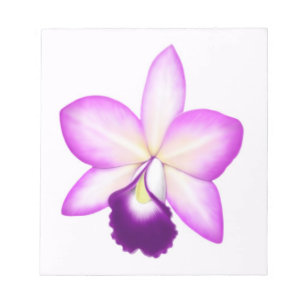 Exotisk anteckningsblock för Cattleya Orchidblomm