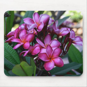 Exotisk blomma, Mousepad Musmatta