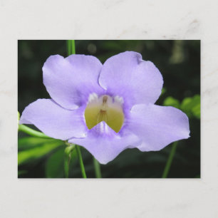 Exotisk blomma vykort
