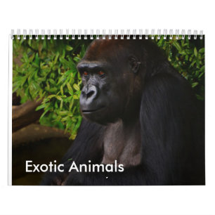 Exotisk djurkalender kalender