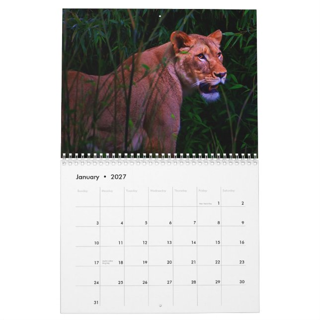 Exotisk djurkalender kalender (Jan 2027)