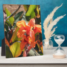 Exotisk orange blomma