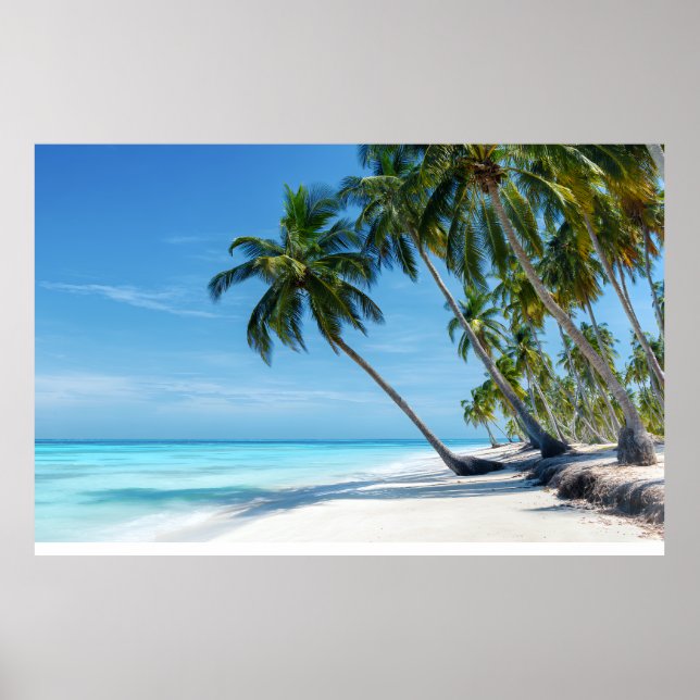 Exotisk Palm Beach Turkos Vatten Solig Paradis Poster (Framsidan)