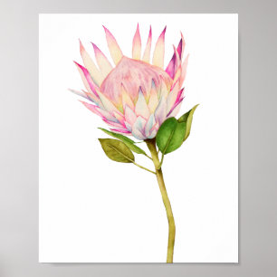 Exotisk Rosa Blommigt Vattenfärgsbild Poster
