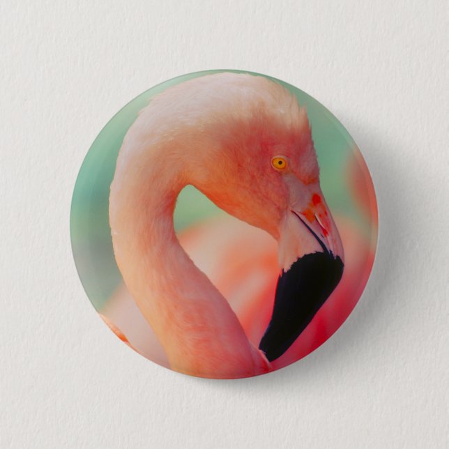 Exotisk Rosa Flamingo Bird Button Knapp (Framsida)