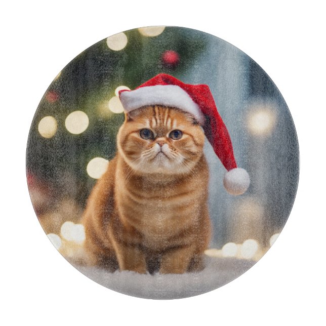 Exotisk shorthair-jul (Framsidan)