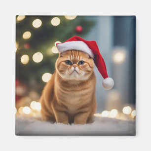 Exotisk shorthair-jul magnet