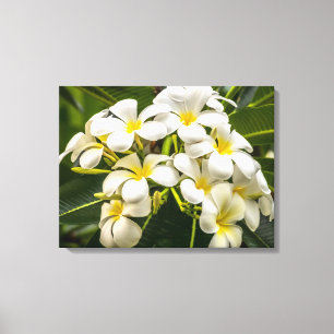 Exotisk slågen in kanvastryck för ö Plumeria