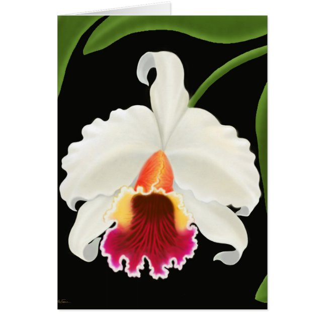 Exotisk tropisk Cattleya Orchid Hälsningskort (Framsidan)