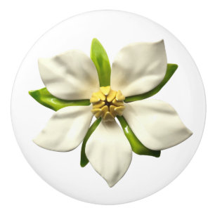 Exotisk Tropisk Magnolia Blommande Bröllopsblomma Knopp