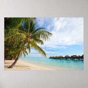 Exotisk utväg poster