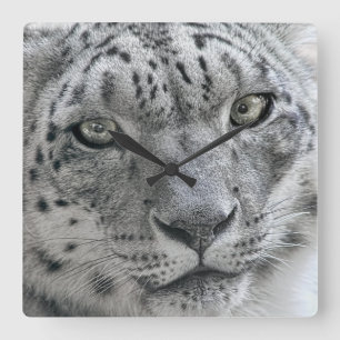 Exotisk vitsnöLeopard Fyrkantig Klocka