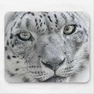 Exotisk vitsnöLeopard Musmatta