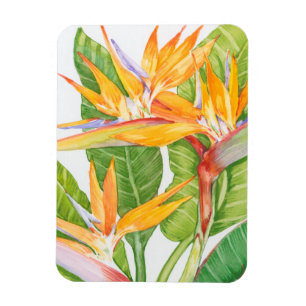 Exotiska blommor, vattenfärg magnet