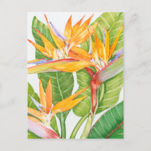 Exotiska blommor, vattenfärg vykort