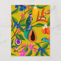 Exotiska djungelfåglar och illustration av vilda b