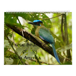 Exotiska fåglar av den South America kalendern Kalender