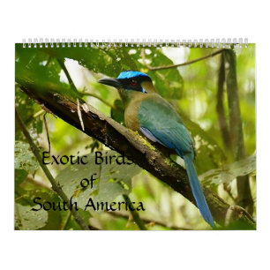 Exotiska fåglar av den South America kalendern Kalender