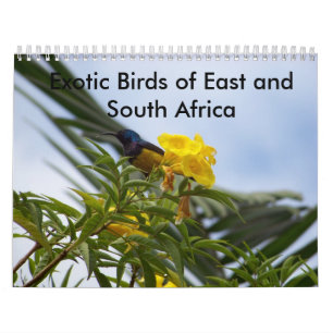 Exotiska fåglar av öster och Sydafrika Kalender