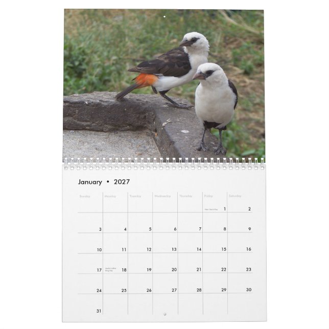Exotiska fåglar av öster och Sydafrika Kalender (Jan 2027)