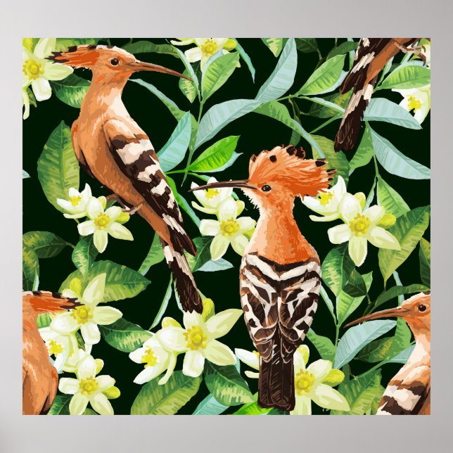 Exotiska fåglar: Tropical Vintage Print Poster (Framsidan)