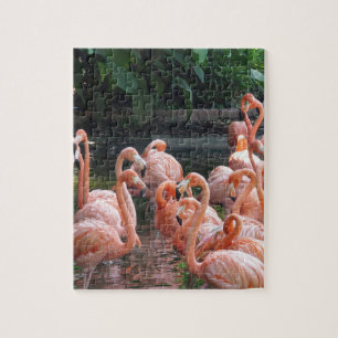 Exotiska Flamingos Pussel