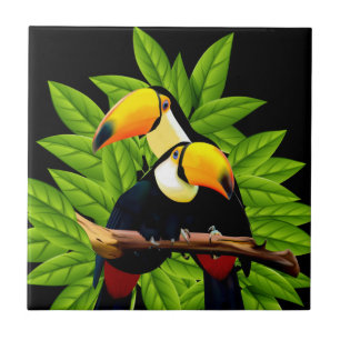 Exotiska Toucans Kakelplatta
