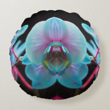 Exotiskt blått reflekterande